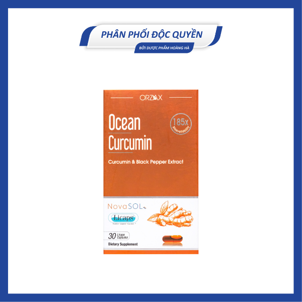 Sp Ocean curcumin